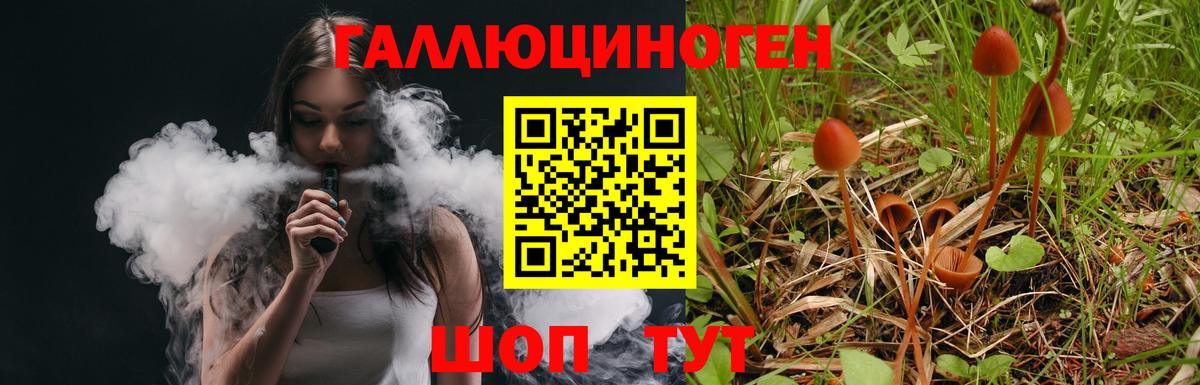 Галлюциногенные грибы Cubensis  Вход с VPN  Карабулак 